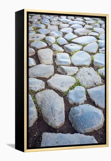 Roman Road Close to Arch of Constantine, Arco Di Costantino, Rome, Latium, Italy-Nico Tondini-Framed Premier Image Canvas