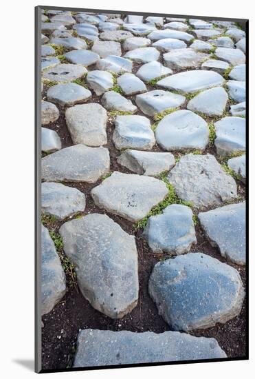 Roman Road Close to Arch of Constantine, Arco Di Costantino, Rome, Latium, Italy-Nico Tondini-Mounted Photographic Print