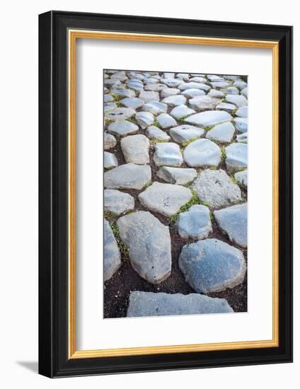 Roman Road Close to Arch of Constantine, Arco Di Costantino, Rome, Latium, Italy-Nico Tondini-Framed Photographic Print