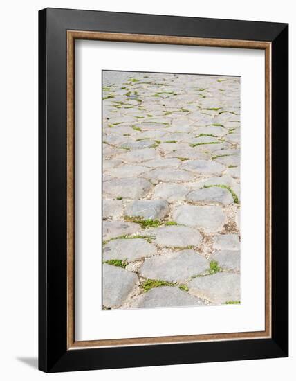 Roman road close to Colosseum, Rome, Latium, Italy, Europe-Nico Tondini-Framed Photographic Print