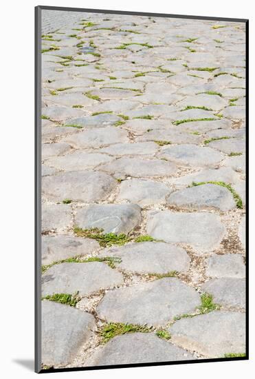 Roman road close to Colosseum, Rome, Latium, Italy, Europe-Nico Tondini-Mounted Photographic Print