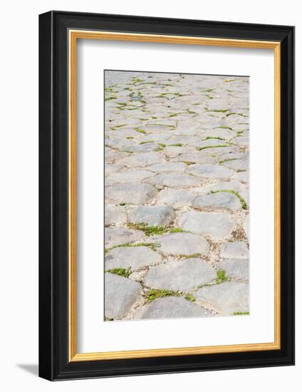 Roman road close to Colosseum, Rome, Latium, Italy, Europe-Nico Tondini-Framed Photographic Print