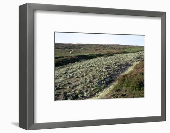 Roman road on Wheeldale Moor. Artist: Unknown-Unknown-Framed Photographic Print