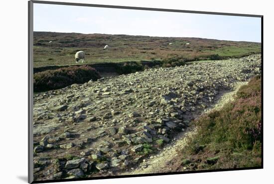 Roman road on Wheeldale Moor. Artist: Unknown-Unknown-Mounted Photographic Print