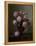 Roman Roses, 1854-William Hammer-Framed Premier Image Canvas