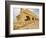 Roman Ruins in Caesarea, Israel, Middle East-Michael DeFreitas-Framed Photographic Print