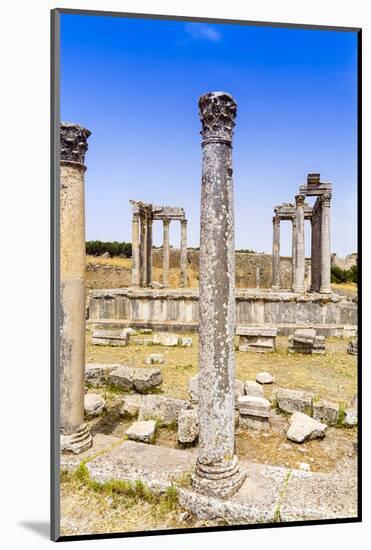 Roman ruins, Temple of Juno Caelestis, Dougga Archaeological Site, Tunisia-Nico Tondini-Mounted Photographic Print