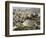 Roman Theatre, Amman, Jordan, Middle East-Tondini Nico-Framed Photographic Print