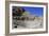 Roman Theatre, Petra, Jordan-Vivienne Sharp-Framed Photographic Print