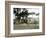 Roman tombs, Ostia, Italy-Werner Forman-Framed Photographic Print