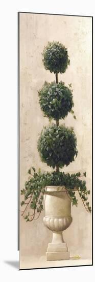 Roman Topiary II-Welby-Mounted Premium Giclee Print