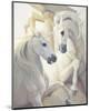 Roman Treasures-Carolyne Hawley-Mounted Art Print