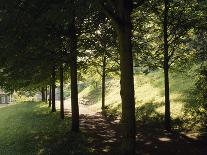 Trees at Bensheim, Staatspark Furstenlager - Germany-Roman von-Framed Premier Image Canvas