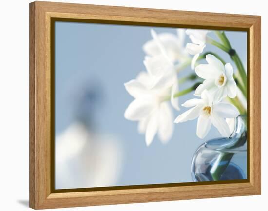 Romance-Christine Zalewski-Framed Stretched Canvas