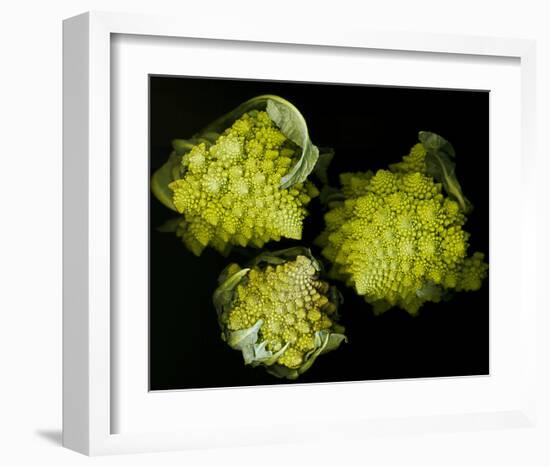 Romanesco Vegetable Fractal-null-Framed Art Print