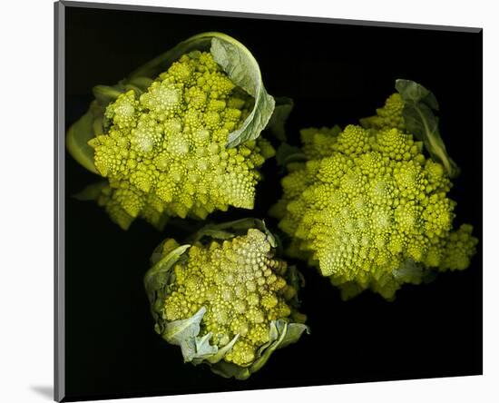 Romanesco Vegetable Fractal-null-Mounted Art Print