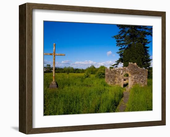 Romanesque Doorway, Kilbunny Church, Portlaw, County Waterford, Ireland-null-Framed Photographic Print