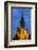 Romania, Banat Region, Timisoara, Metropolitan Cathedral, Dusk-Walter Bibikow-Framed Photographic Print
