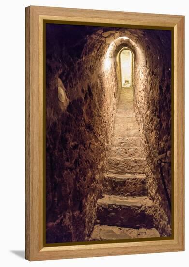 Romania. Bran. Castle Bran interior secret passageway.-Emily Wilson-Framed Premier Image Canvas