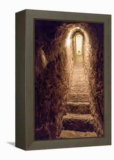 Romania. Bran. Castle Bran interior secret passageway.-Emily Wilson-Framed Premier Image Canvas