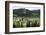 Romania, Bucovina, Sucevita. Looking Down on Sucevita Monastery-Katie Garrod-Framed Photographic Print