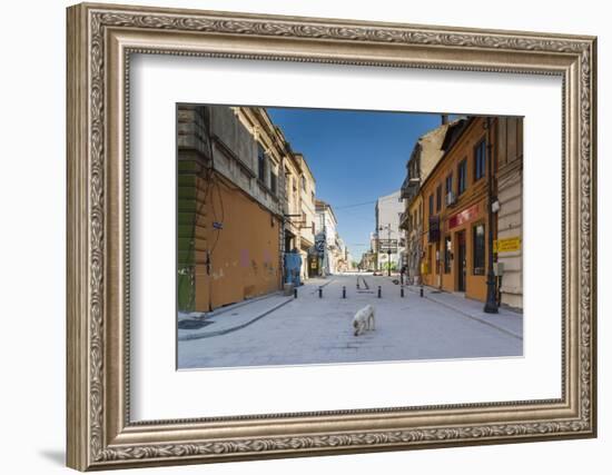 Romania, Constanta, Piata Ovidiu, Ovid Square, Street with Lone Dog-Walter Bibikow-Framed Photographic Print