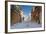 Romania, Constanta, Piata Ovidiu, Ovid Square, Street with Lone Dog-Walter Bibikow-Framed Photographic Print