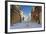 Romania, Constanta, Piata Ovidiu, Ovid Square, Street with Lone Dog-Walter Bibikow-Framed Photographic Print