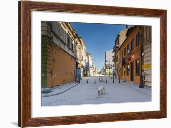 Romania, Constanta, Piata Ovidiu, Ovid Square, Street with Lone Dog-Walter Bibikow-Framed Photographic Print