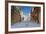 Romania, Constanta, Piata Ovidiu, Ovid Square, Street with Lone Dog-Walter Bibikow-Framed Photographic Print