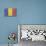 Romania Country Flag - Barnwood Painting-Lantern Press-Art Print displayed on a wall