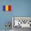 Romania Country Flag - Letterpress-Lantern Press-Premium Giclee Print displayed on a wall