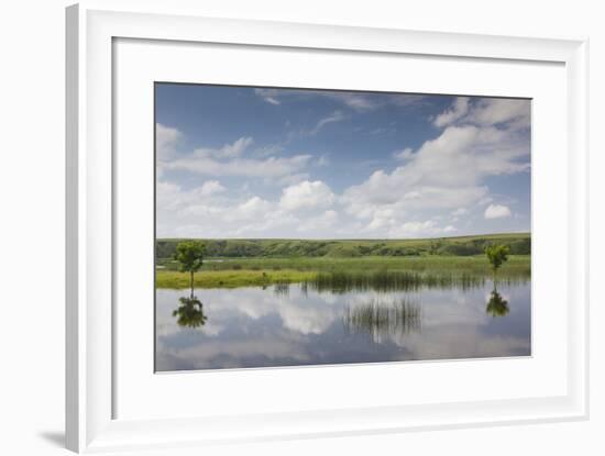 Romania, Danube River Delta, Baltenii de Sus, Danube River Reflection-Walter Bibikow-Framed Photographic Print