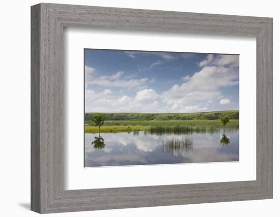 Romania, Danube River Delta, Baltenii de Sus, Danube River Reflection-Walter Bibikow-Framed Photographic Print