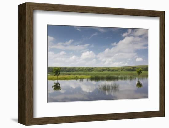 Romania, Danube River Delta, Baltenii de Sus, Danube River Reflection-Walter Bibikow-Framed Photographic Print