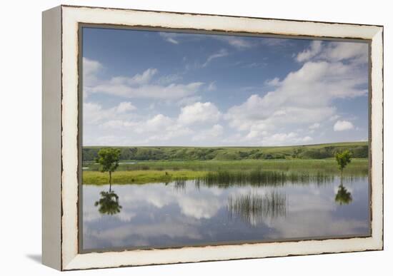 Romania, Danube River Delta, Baltenii de Sus, Danube River Reflection-Walter Bibikow-Framed Premier Image Canvas