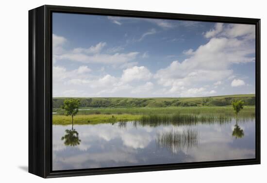 Romania, Danube River Delta, Baltenii de Sus, Danube River Reflection-Walter Bibikow-Framed Premier Image Canvas