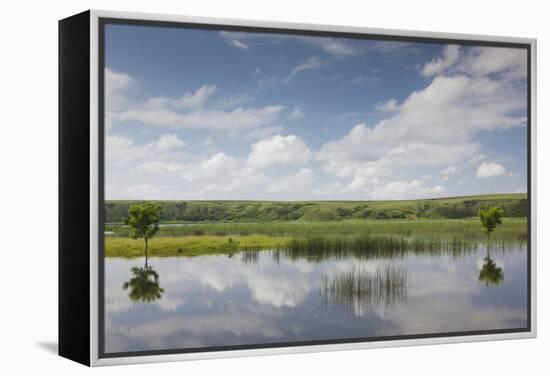 Romania, Danube River Delta, Baltenii de Sus, Danube River Reflection-Walter Bibikow-Framed Premier Image Canvas