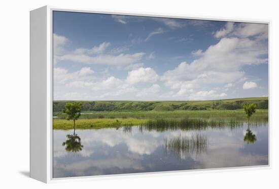 Romania, Danube River Delta, Baltenii de Sus, Danube River Reflection-Walter Bibikow-Framed Premier Image Canvas