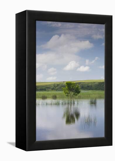 Romania, Danube River Delta, Baltenii de Sus, Danube River Reflection-Walter Bibikow-Framed Premier Image Canvas