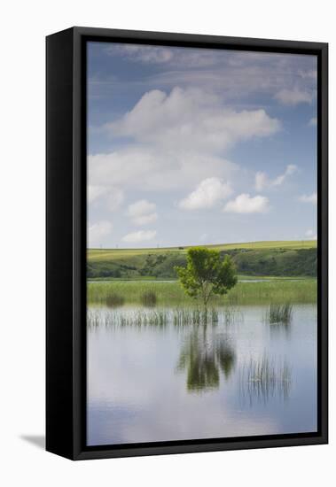 Romania, Danube River Delta, Baltenii de Sus, Danube River Reflection-Walter Bibikow-Framed Premier Image Canvas