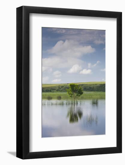 Romania, Danube River Delta, Baltenii de Sus, Danube River Reflection-Walter Bibikow-Framed Photographic Print