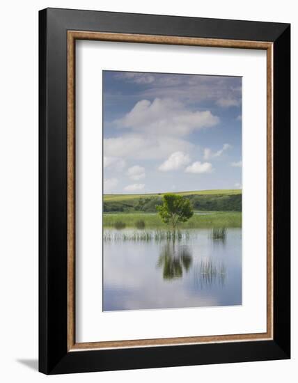 Romania, Danube River Delta, Baltenii de Sus, Danube River Reflection-Walter Bibikow-Framed Photographic Print