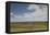 Romania, Danube River Delta, Bestepe, Farm Fields, Spring-Walter Bibikow-Framed Premier Image Canvas