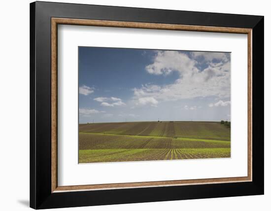 Romania, Danube River Delta, Bestepe, Farm Fields, Spring-Walter Bibikow-Framed Photographic Print