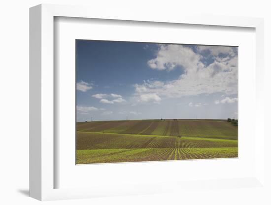 Romania, Danube River Delta, Bestepe, Farm Fields, Spring-Walter Bibikow-Framed Photographic Print