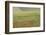 Romania, Danube River Delta, Bestepe, Fields with Poppies, Spring-Walter Bibikow-Framed Photographic Print