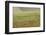 Romania, Danube River Delta, Bestepe, Fields with Poppies, Spring-Walter Bibikow-Framed Photographic Print