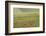 Romania, Danube River Delta, Bestepe, Fields with Poppies, Spring-Walter Bibikow-Framed Photographic Print