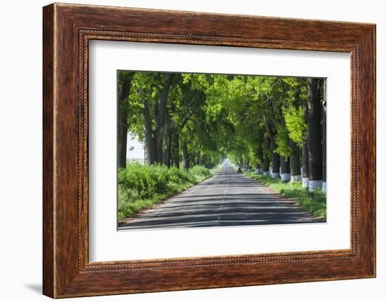 Romania, Danube River Delta, Salcioara, Country Road-Walter Bibikow-Framed Photographic Print